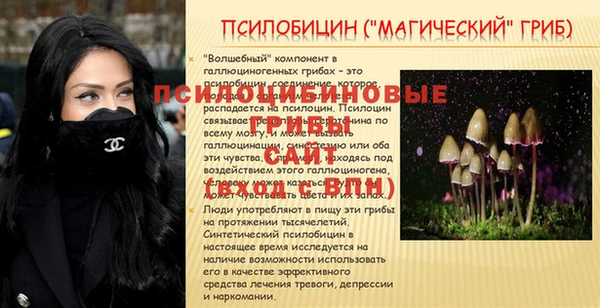амф Заводоуковск