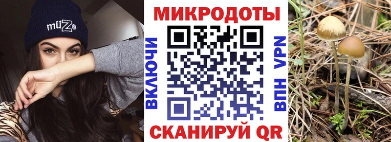 сайты даркнета состав  Калач  Псилоцибиновые грибы мицелий 